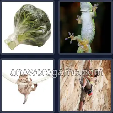 4 Pics 1 Word 5 Letters CLING