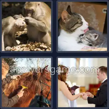 4 Pics 1 Word 5 Letters GROOM