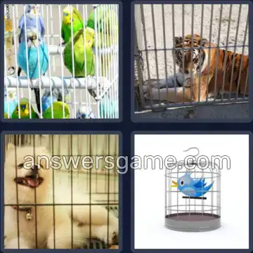 4 Pics 1 Word 5 Letters CAGED