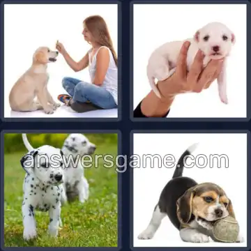 4 Pics 1 Word 5 Letters PUPPY