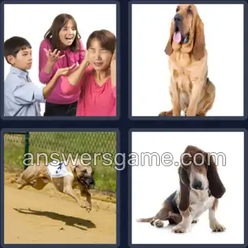 4 Pics 1 Word 5 Letters HOUND