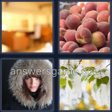 4 Pics 1 Word 5 Letters FUZZY