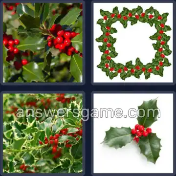 4 Pics 1 Word 5 Letters HOLLY