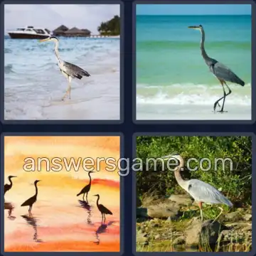 4 Pics 1 Word 5 Letters HERON