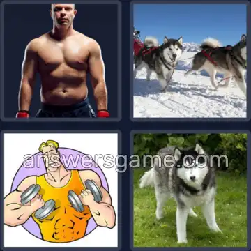 4 Pics 1 Word 5 Letters HUSKY