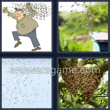 4 Pics 1 Word 5 Letters SWARM