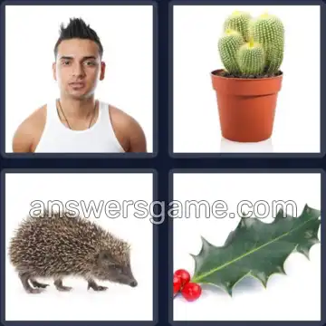 4 Pics 1 Word 5 Letters SPIKY