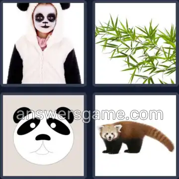 4 Pics 1 Word 5 Letters PANDA