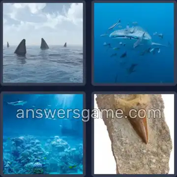 4 Pics 1 Word 5 Letters SHARK