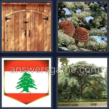 4 Pics 1 Word 5 Letters CEDAR