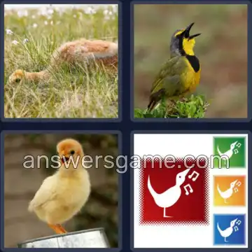 4 Pics 1 Word 5 Letters CHIRP