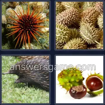 4 Pics 1 Word 5 Letters SPINY