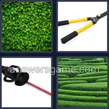 4 Pics 1 Word 5 Letters HEDGE
