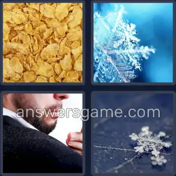 4 Pics 1 Word 5 Letters FLAKE