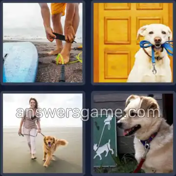 4 Pics 1 Word 5 Letters LEASH