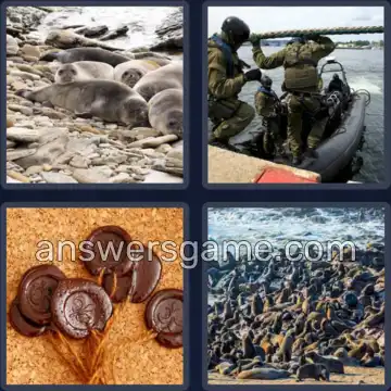 4 Pics 1 Word 5 Letters SEALS