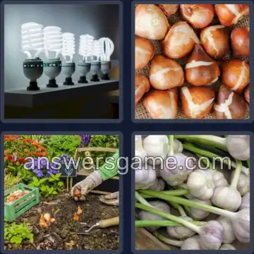4 Pics 1 Word 5 Letters BULBS