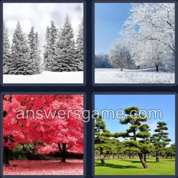 4 Pics 1 Word 5 Letters TREES