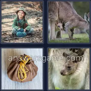 4 Pics 1 Word 5 Letters POUCH