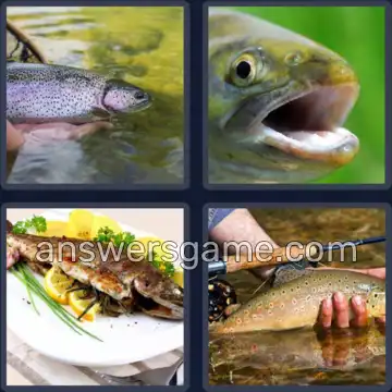 4 Pics 1 Word 5 Letters TROUT