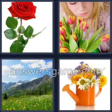 4 Pics 1 Word 6 Letters FLOWER