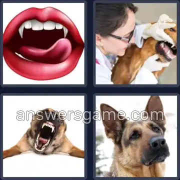 4 Pics 1 Word 6 Letters CANINE