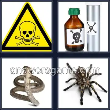 4 Pics 1 Word 6 Letters DEADLY