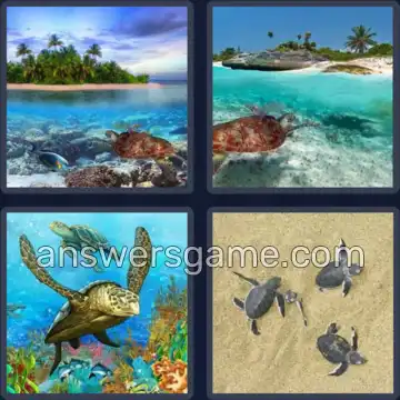 4 Pics 1 Word 6 Letters TURTLE