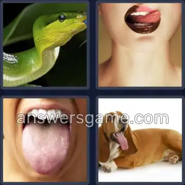 4 Pics 1 Word 6 Letters TONGUE