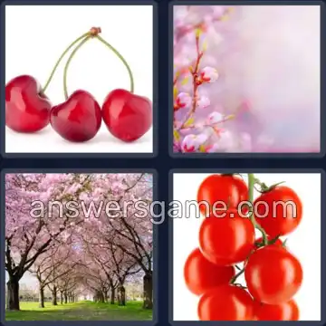 4 Pics 1 Word 6 Letters CHERRY