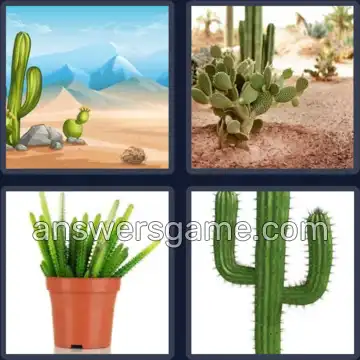 4 Pics 1 Word 6 Letters CACTUS