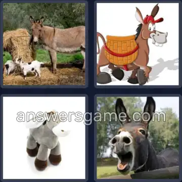 4 Pics 1 Word 6 Letters DONKEY