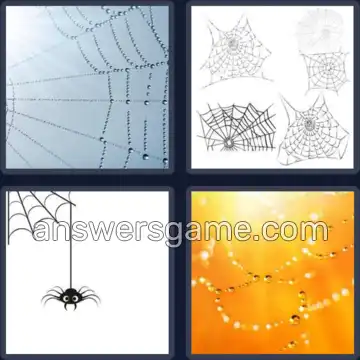 4 Pics 1 Word 6 Letters COBWEB