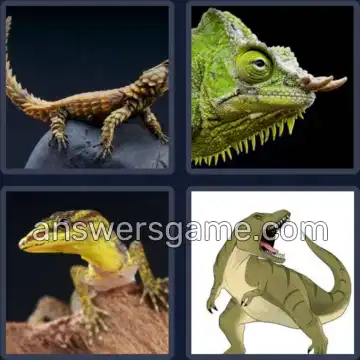 4 Pics 1 Word 6 Letters LIZARD
