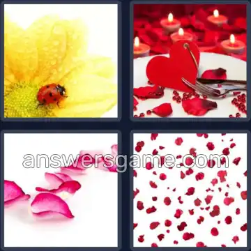 4 Pics 1 Word 6 Letters PETALS