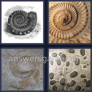 4 Pics 1 Word 6 Letters FOSSIL