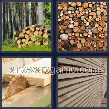 4 Pics 1 Word 6 Letters TIMBER