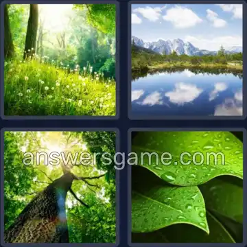 4 Pics 1 Word 6 Letters NATURE