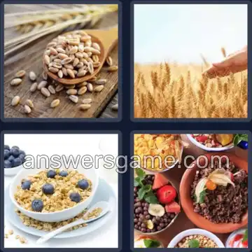 4 Pics 1 Word 6 Letters CEREAL