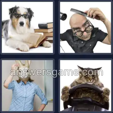 4 Pics 1 Word 6 Letters ABSURD