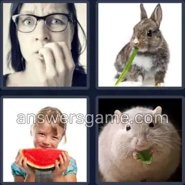 4 Pics 1 Word 6 Letters NIBBLE