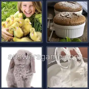 4 Pics 1 Word 6 Letters FLUFFY