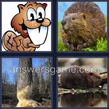 4 Pics 1 Word 6 Letters BEAVER