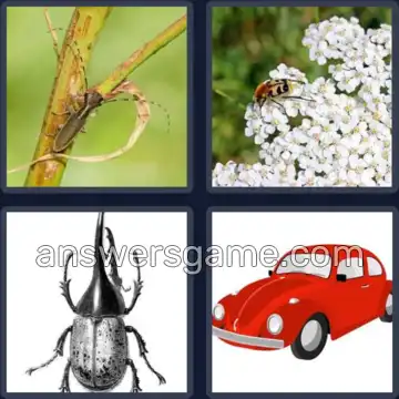 4 Pics 1 Word 6 Letters BEETLE
