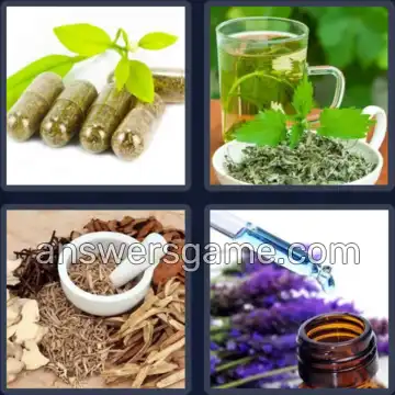 4 Pics 1 Word 6 Letters HERBAL