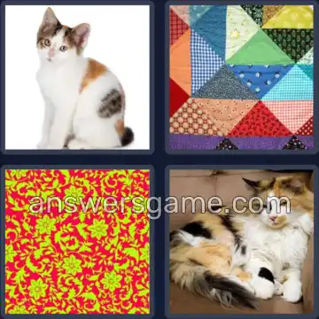4 Pics 1 Word 6 Letters CALICO