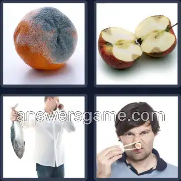 4 Pics 1 Word 6 Letters ROTTEN