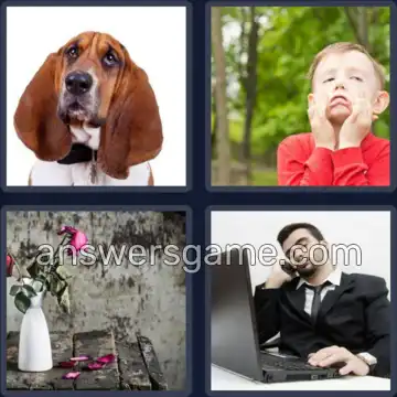 4 Pics 1 Word 6 Letters DROOPY