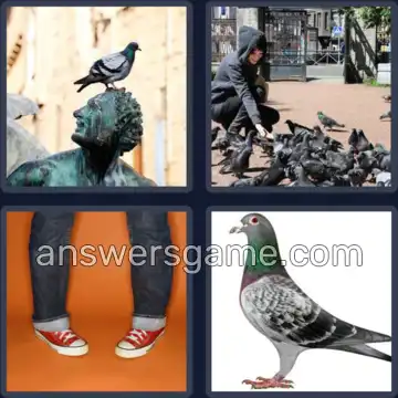 4 Pics 1 Word 6 Letters PIGEON