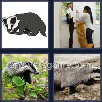 4 Pics 1 Word 6 Letters BADGER